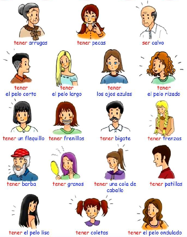 Vocabulario en espanol